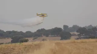 WhatsApp Image 2025-08-28 at 19.38.48 (1)