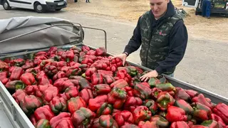 trashumancia san vitero_42