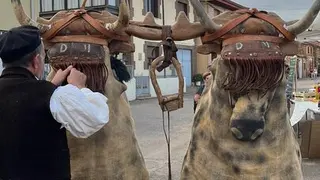 Mascaradas en Pobladura de Aliste  (10)