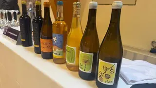 misión comercial en el sector del vino _2