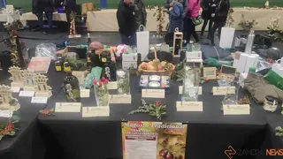 magosto trabazos 2025_60