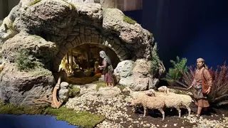 Belén Diputación de Zamora _27