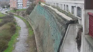 Muro verde La Aldehuela