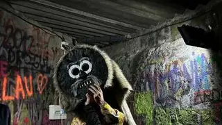 Zangarr&oacute;n de Montamarta _6