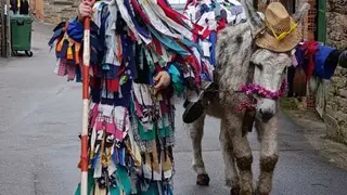 Cencerrones Abejera - imagen cedida A.C. El Castro _12