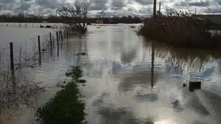 La Rinconada Zamora crecida del Duero _10