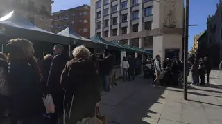 mercado ecol&oacute;gico _9