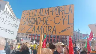 Zamora presente en la manifiestaci&oacute;n de la Sanidad en Valladolid  _17