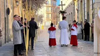 Bendici&oacute;n de palmas Obispo _21