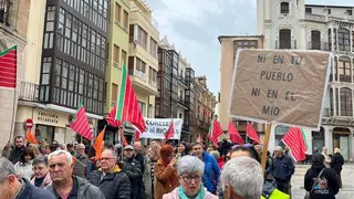 Manifestaci&oacute;n contra las plantas de biog&aacute;s Zamora _31