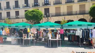 Puestos de C&aacute;ritas en la Plaza Mayor de Zamora