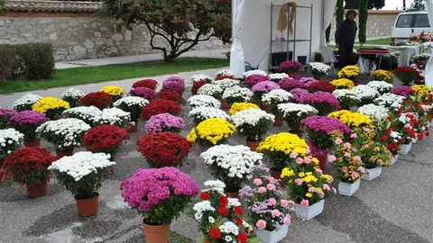 Puesto de flores a la entrada del cementerio en Benavente