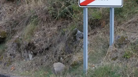 Ribaldegado