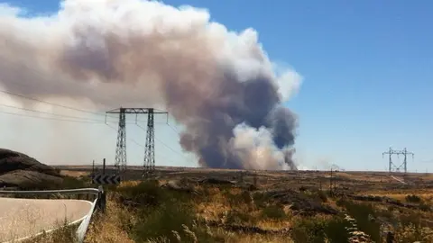 Fuego en el campo