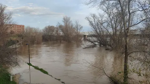 /images/Consecuencias_temporal_ro_Duero_Zamora_News 5.jpg
