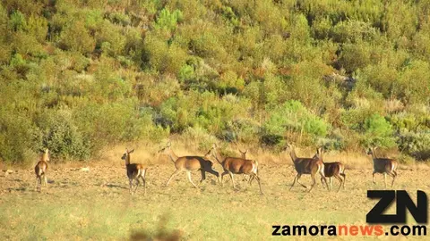 Sierra de la Culebra