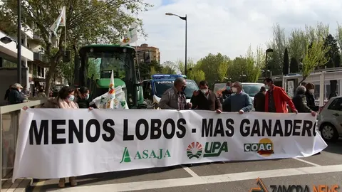 Manifestación en Zamora contra la protección total del lobo. Foto de Archivo