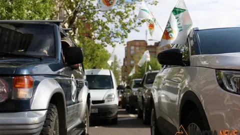 lobo manifestaci&oacute;n zamora (8)