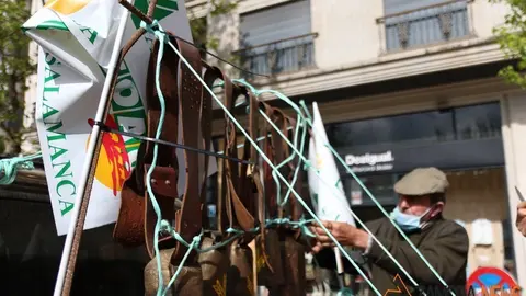 lobo manifestaci&oacute;n zamora (9)