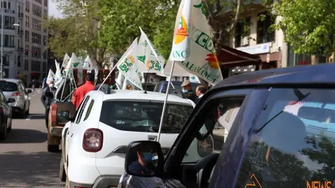 lobo manifestaci&oacute;n zamora (10)