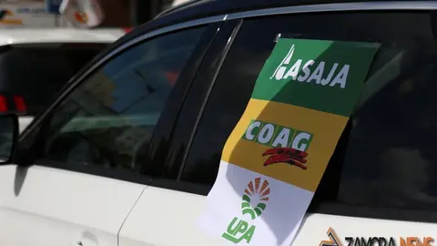 lobo manifestaci&oacute;n zamora (11)