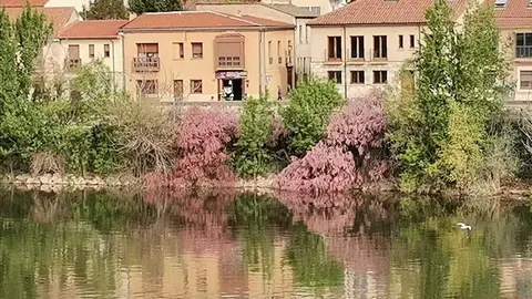 Zamora a orillas del Duero a la altura del Puente de Piedra