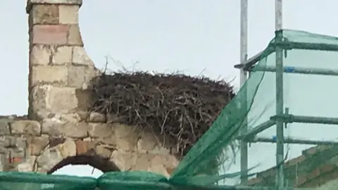 Andamios en la Iglesia de Nuestra Señora de la Asunción de Entrala
