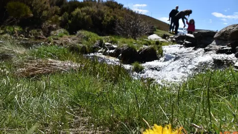 sanabria primavera (2)