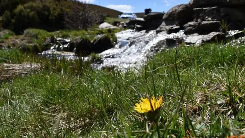 sanabria primavera (3)