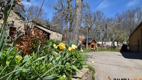 sanabria primavera (11)