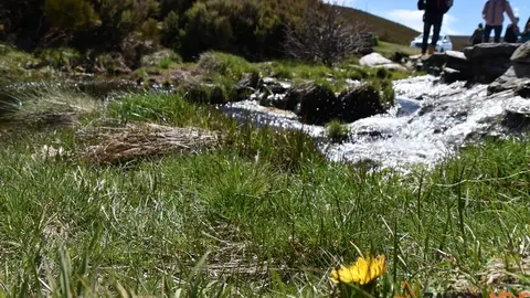 sanabria primavera (19)