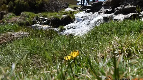 sanabria primavera (20)
