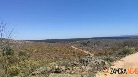sanabria lago primavera (3)