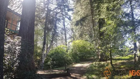 sanabria lago primavera (9)