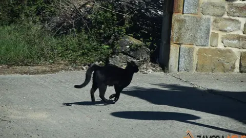 sanabria lago primavera (13)
