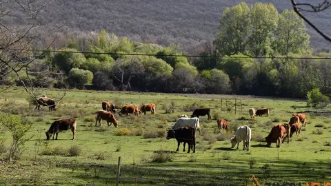 sanabria lago primavera (15)
