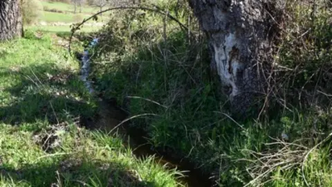 sanabria lago primavera (16)