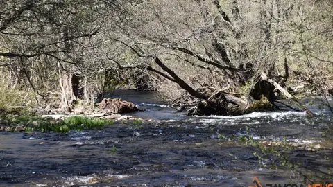 sanabria lago primavera (17)