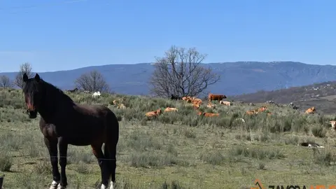 sanabria lago primavera (18)