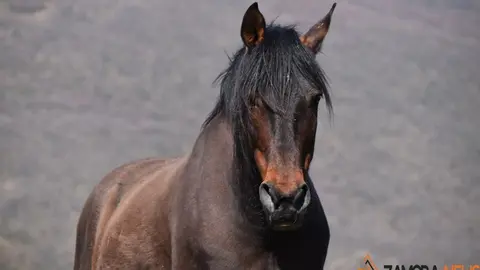 sanabria lago primavera (20)