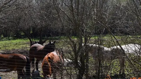 sanabria lago primavera (22)