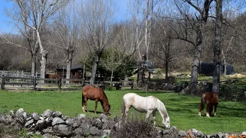 sanabria lago primavera (23)