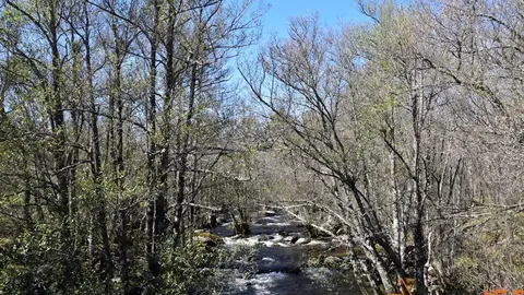 sanabria lago primavera (24)