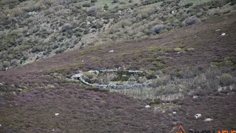 sanabria lago primavera (46)