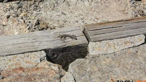 sanabria lago primavera (55)