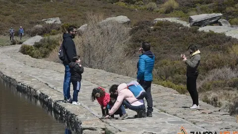 sanabria lago primavera (60)