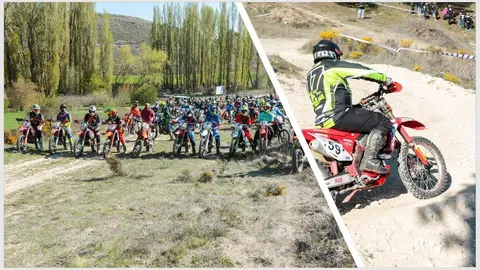 CROSS COUNTRY de Cogeces del Monte