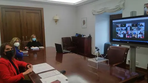 Pleno+Consejo+Universidades+CyL.3