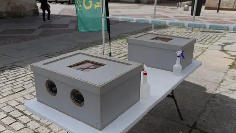 WhatsApp Image 2021-04-23 at 12.50.35