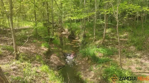 bosque de valorio zamora (9)